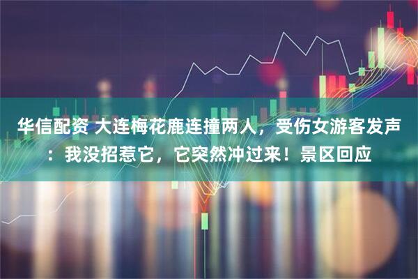 华信配资 大连梅花鹿连撞两人，受伤女游客发声：我没招惹它，它突然冲过来！景区回应