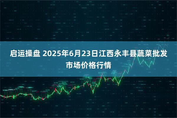 启运操盘 2025年6月23日江西永丰县蔬菜批发市场价格行情